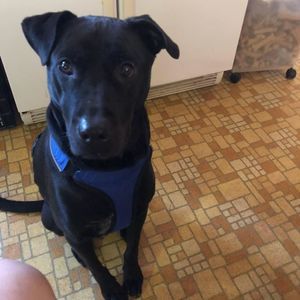 Meet your Posher, Mary lynne